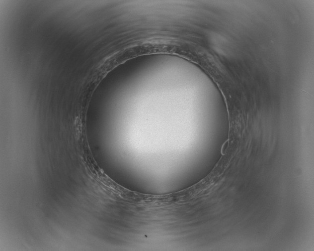 X0000073950821200609111648