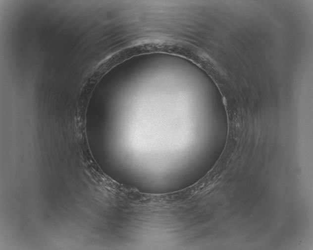 X0000073950822200609111648