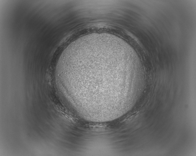 X0000073950823200609111648