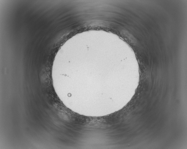 X0000073950824200609111648