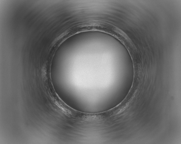 X0000073950826200609111648