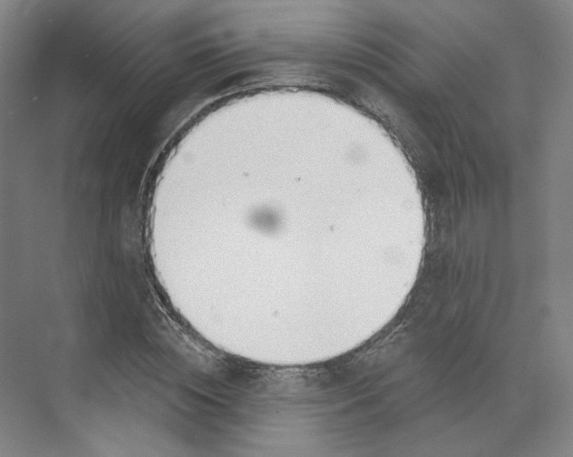 X0000073950828200609111648