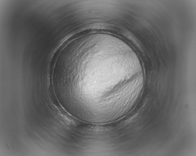 X0000073950829200609111648