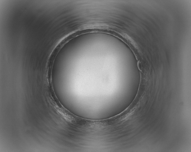 X0000073950830200609111648