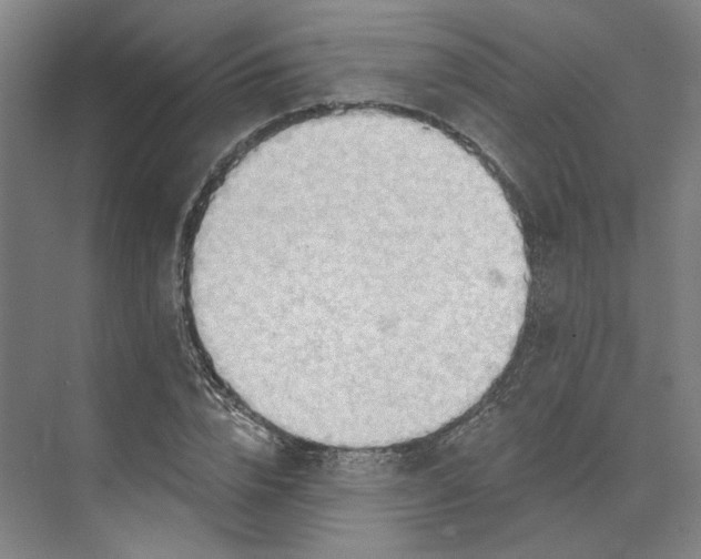 X0000073950832200609111648