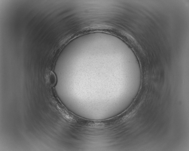 X0000073950833200609111648