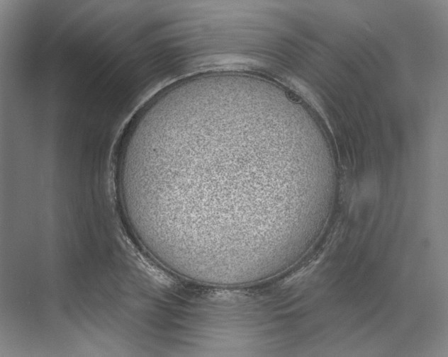 X0000073950835200609111648