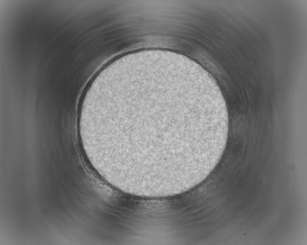 X0000073950836200609111648