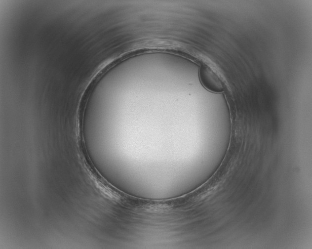 X0000073950837200609111648