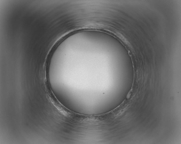 X0000073950838200609111648