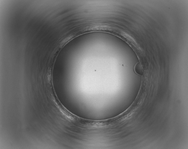 X0000073950841200609111648