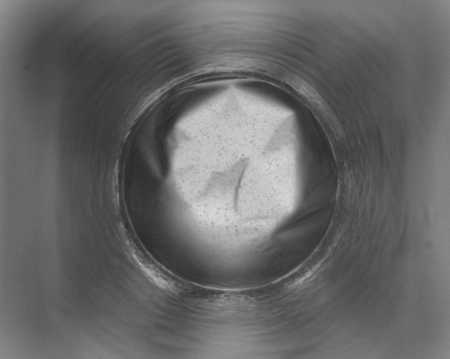 X0000073950842200609111648