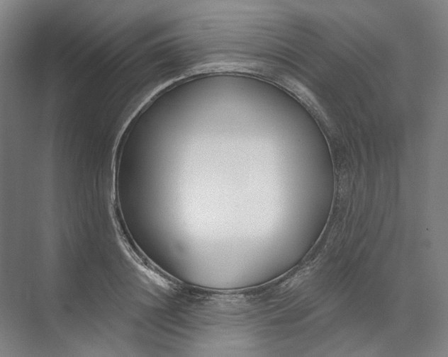 X0000073950844200609111648