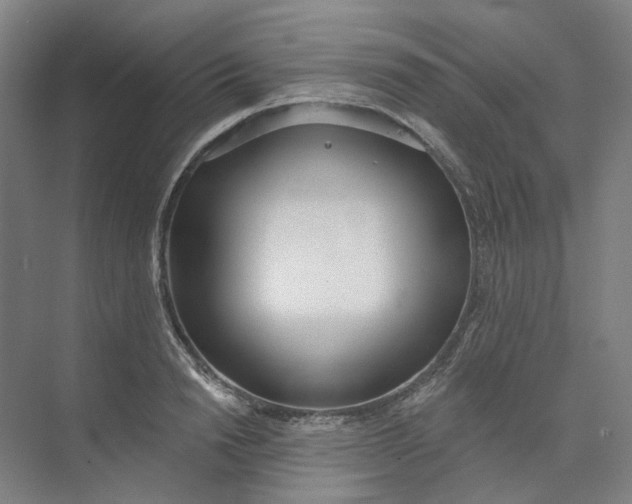 X0000073950846200609111648