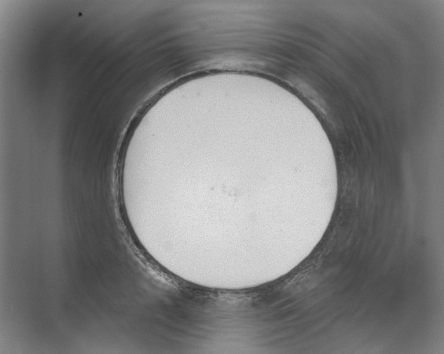 X0000073950848200609111648