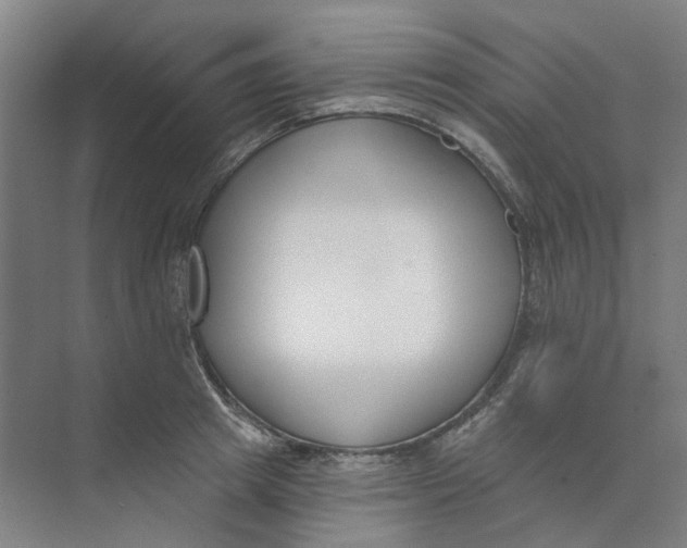 X0000073950849200609111648