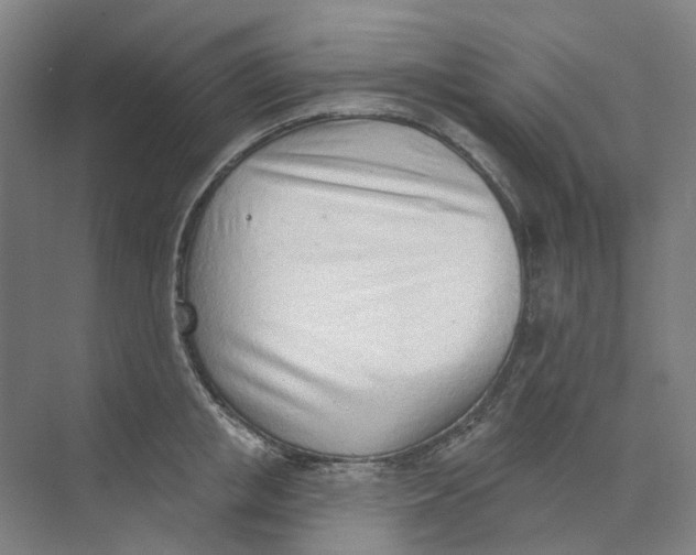 X0000073950853200609111648