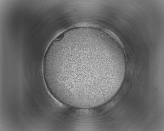 X0000073950855200609111648