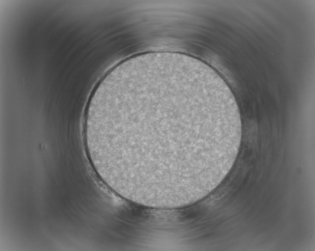 X0000073950856200609111648