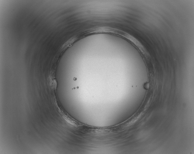 X0000073950857200609111648