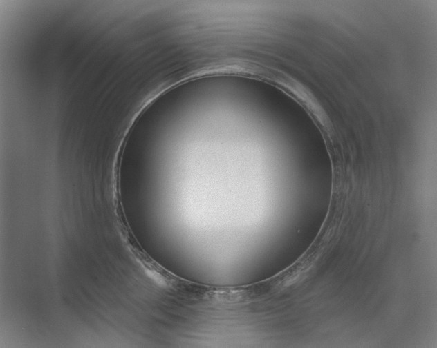 X0000073950858200609111648