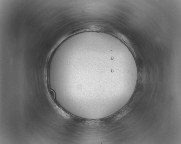 X0000073950859200609111648