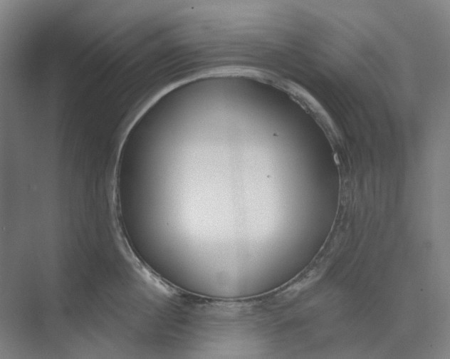 X0000073950860200609111648