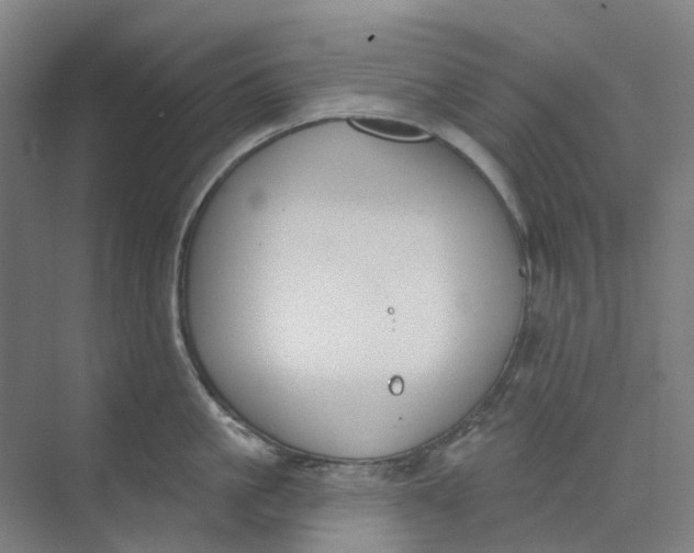 X0000073950861200609111648