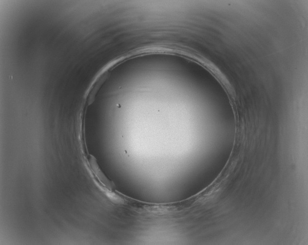 X0000073950862200609111648