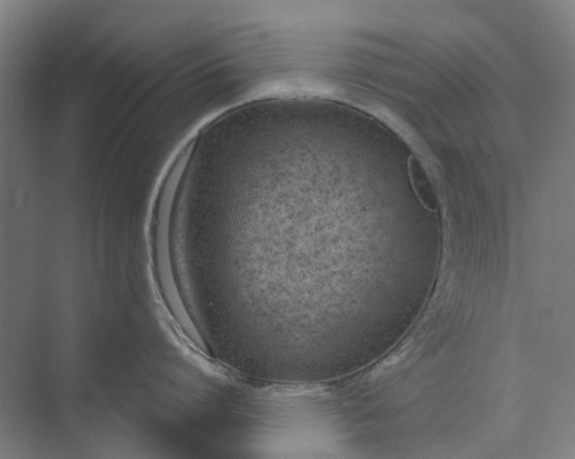 X0000073950864200609111648