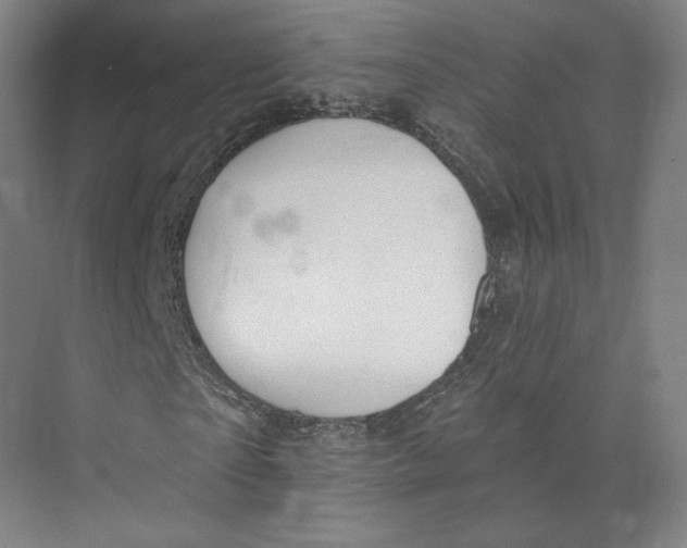 X0000073950865200609111648