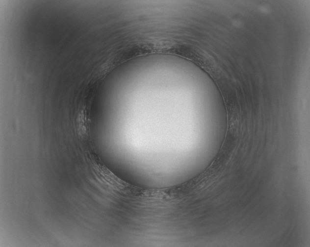 X0000073950866200609111647