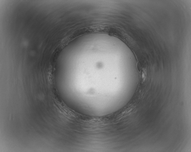 X0000073950867200609111647