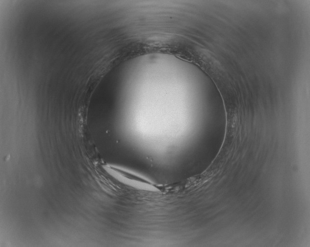 X0000073950868200609111647