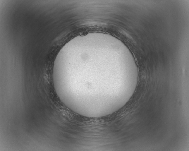 X0000073950869200609111647