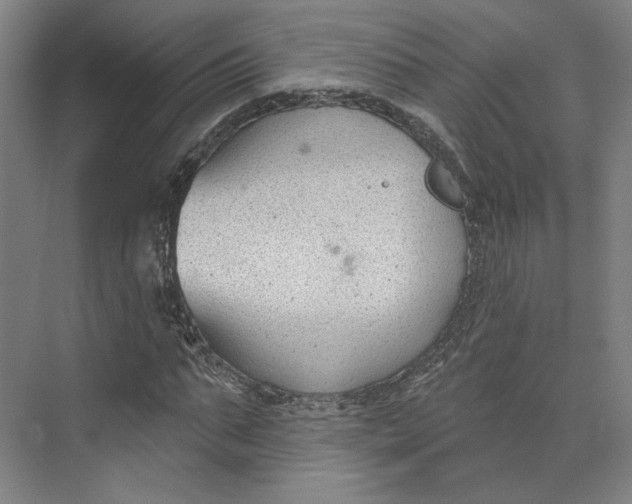 X0000073950871200609111647