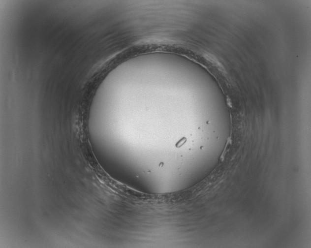 X0000073950872200609111647