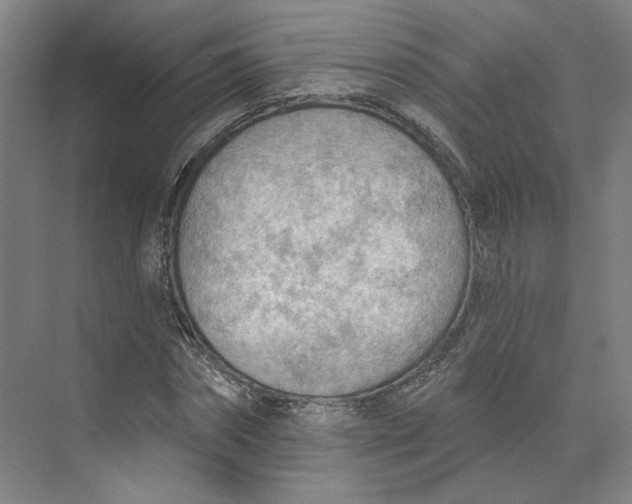 X0000073950874200609111647