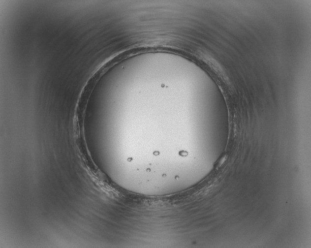 X0000073950876200609111647