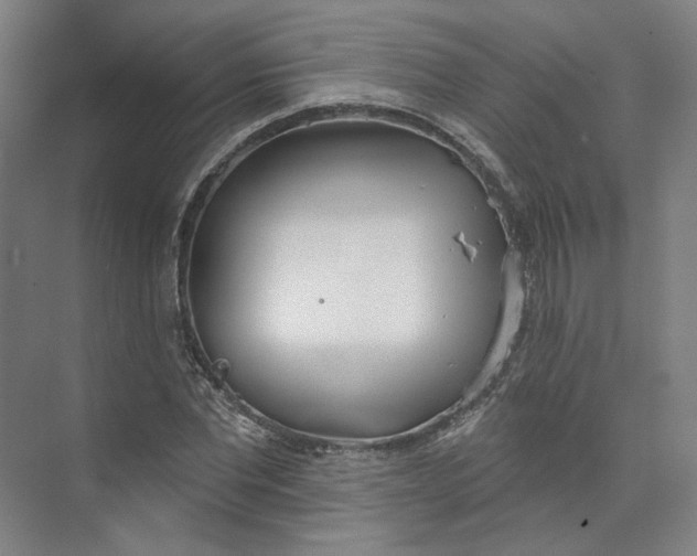 X0000073950877200609111647