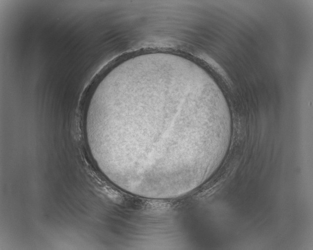 X0000073950878200609111647