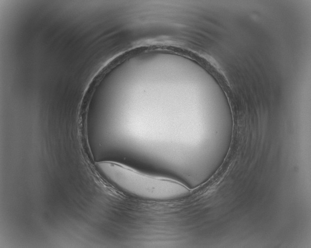 X0000073950879200609111647