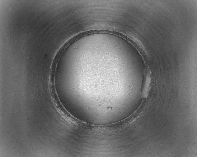 X0000073950880200609111647