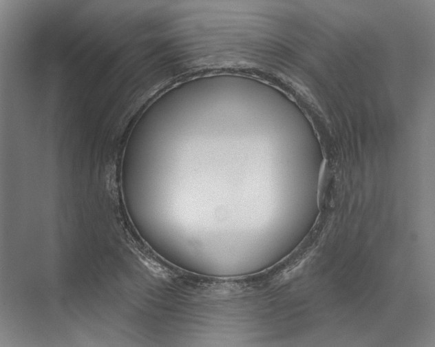 X0000073950881200609111647