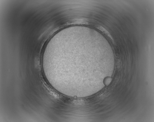 X0000073950882200609111647