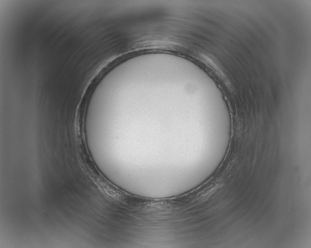 X0000073950883200609111647