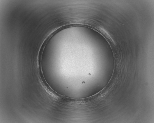 X0000073950884200609111647