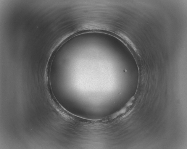 X0000073950885200609111647