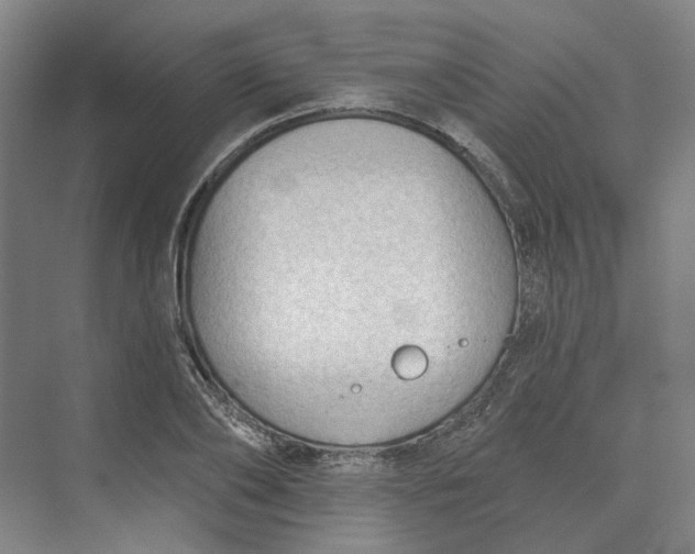 X0000073950886200609111647