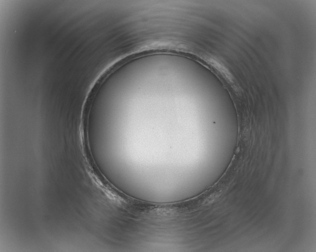 X0000073950888200609111647